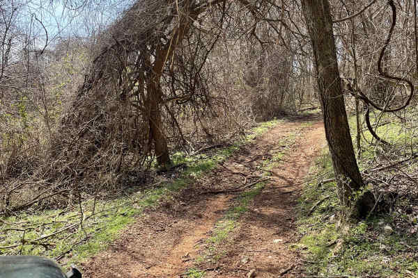 J&D Off-Road Park Chat Trail