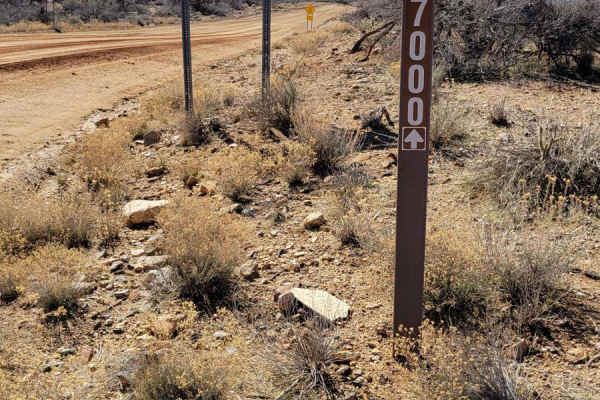 Spur Loop to Chloride AZ Peace Trail Connector (Northeast)
