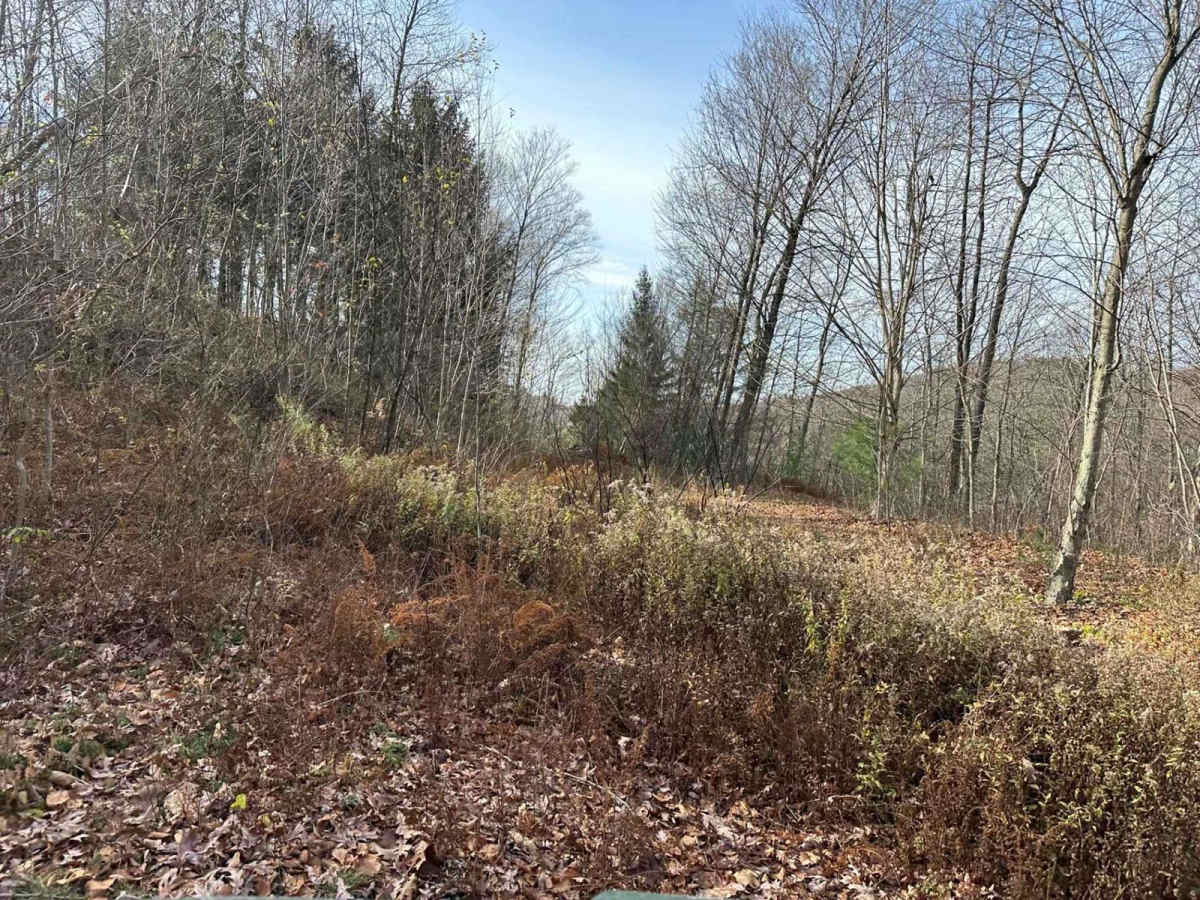 Ashland 165 photo 2