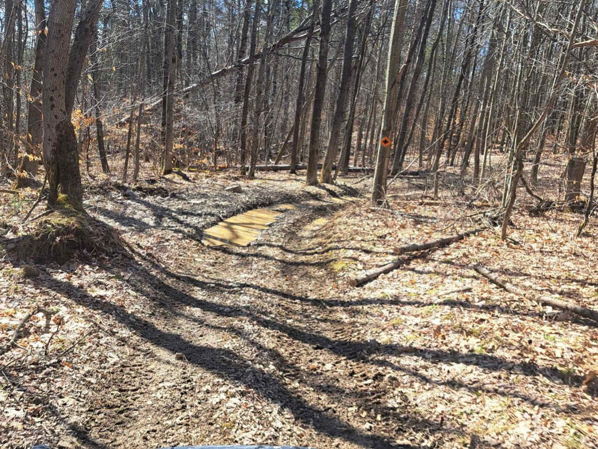 Red Wood photo 2