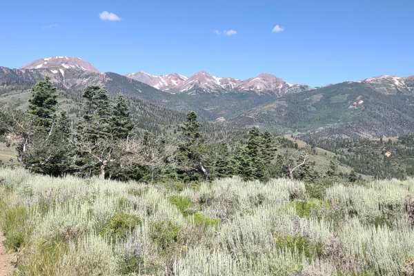 Cottonwood Canyon Overlook