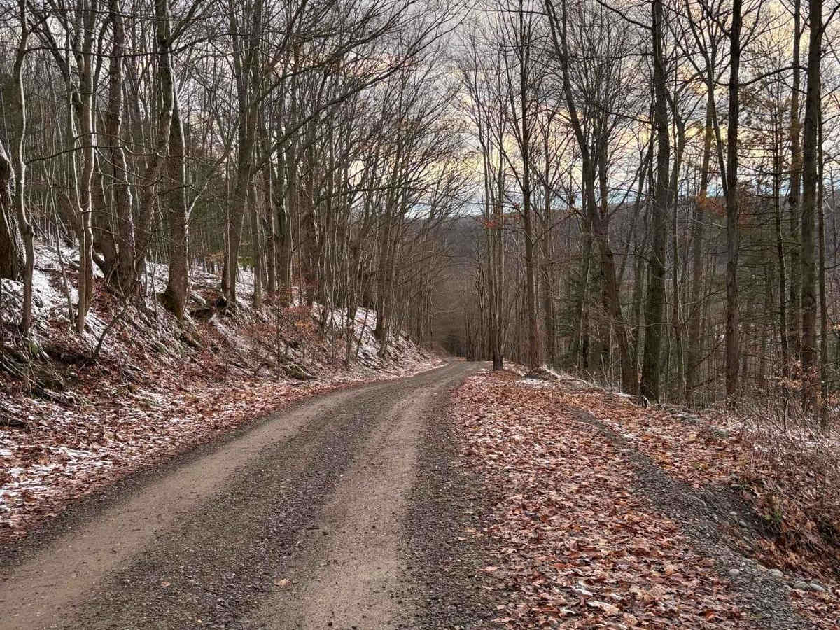 Hopkins Road photo 4