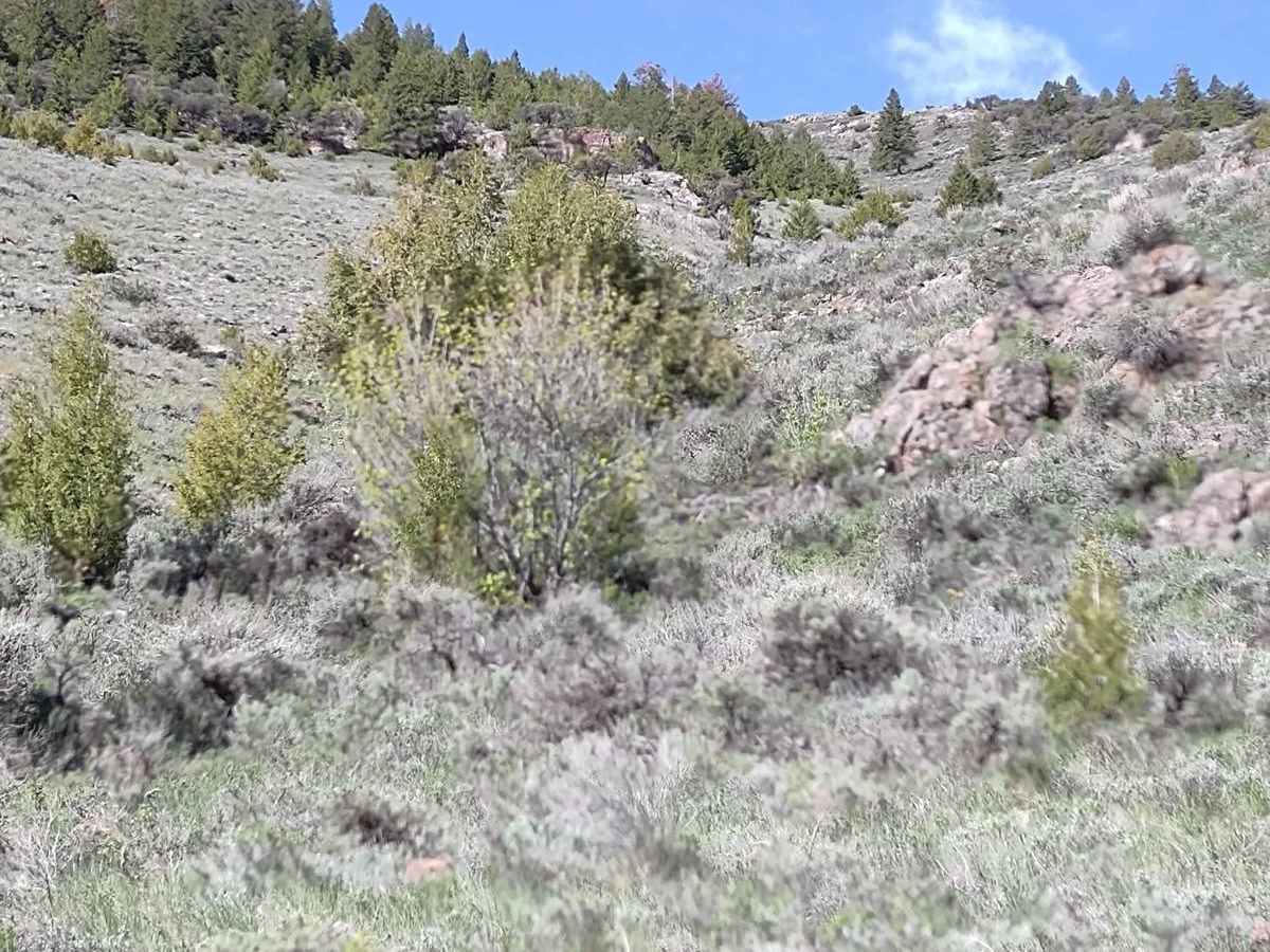Alder Creek Loop at Chimney Gulch photo 5