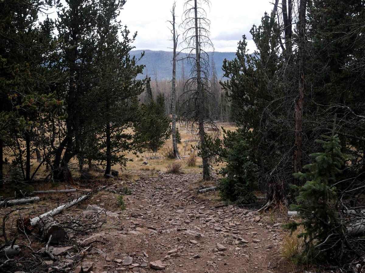 La Garita Creek Cutoff ATV photo 5