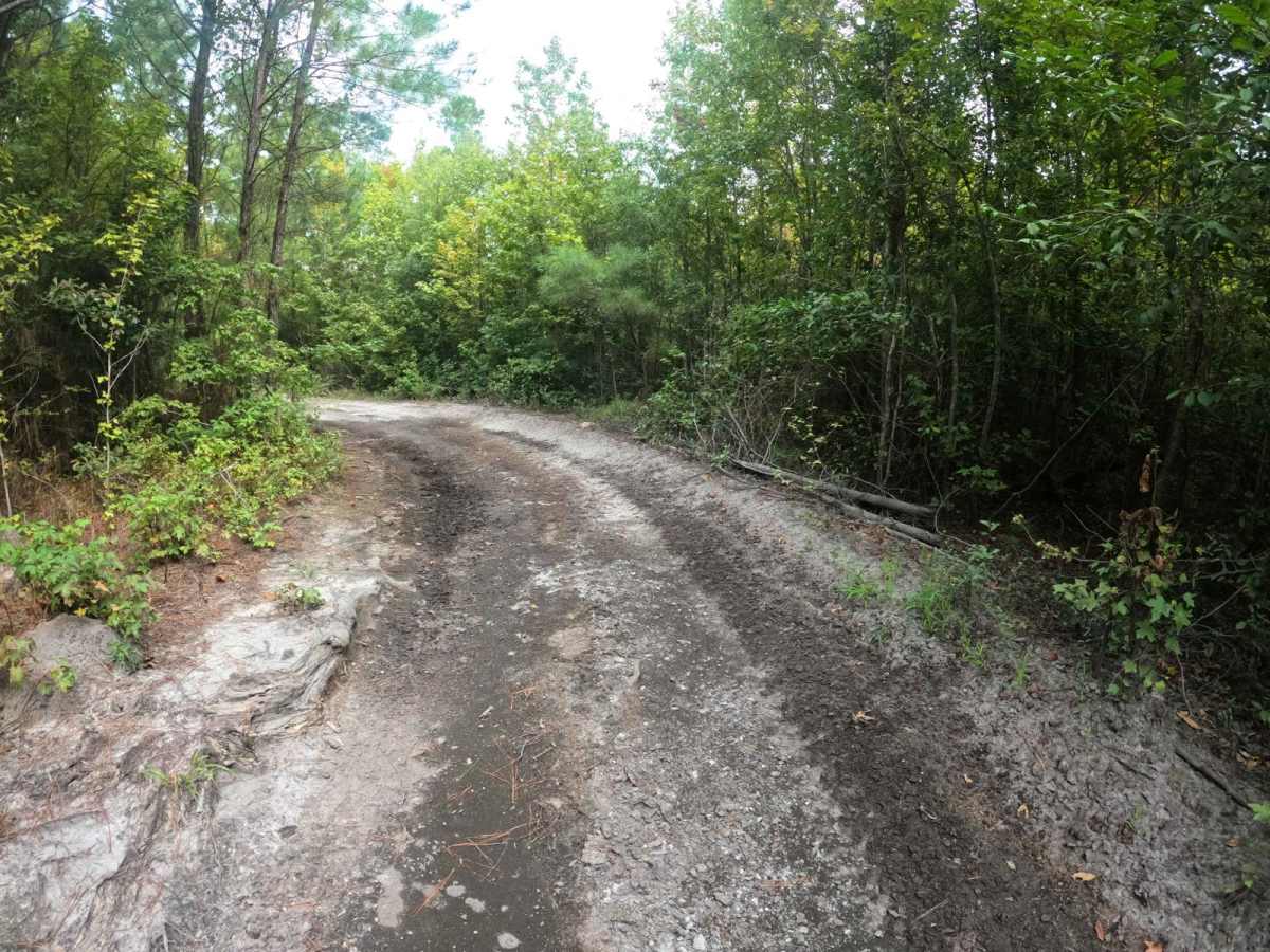Trey's Trail photo 3