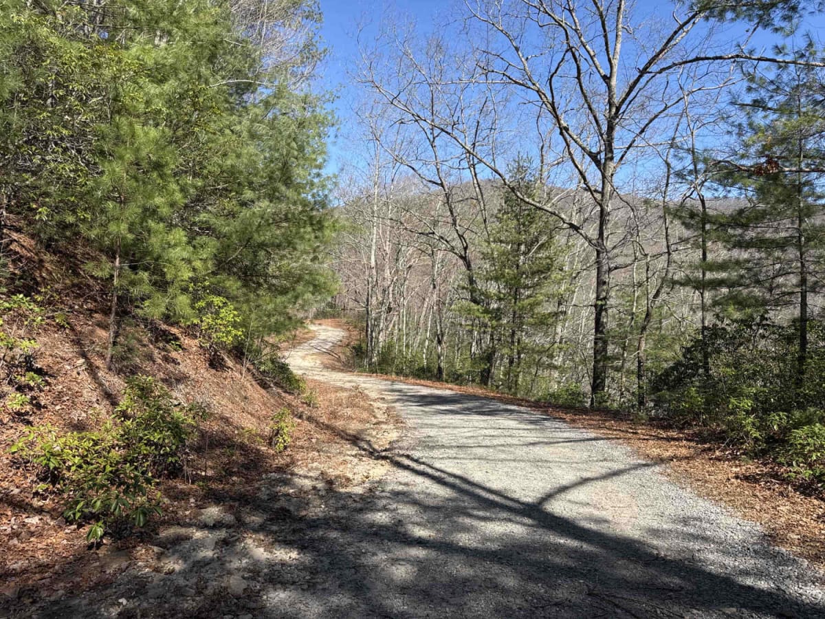 Corbin Creek - FR 698 photo 3