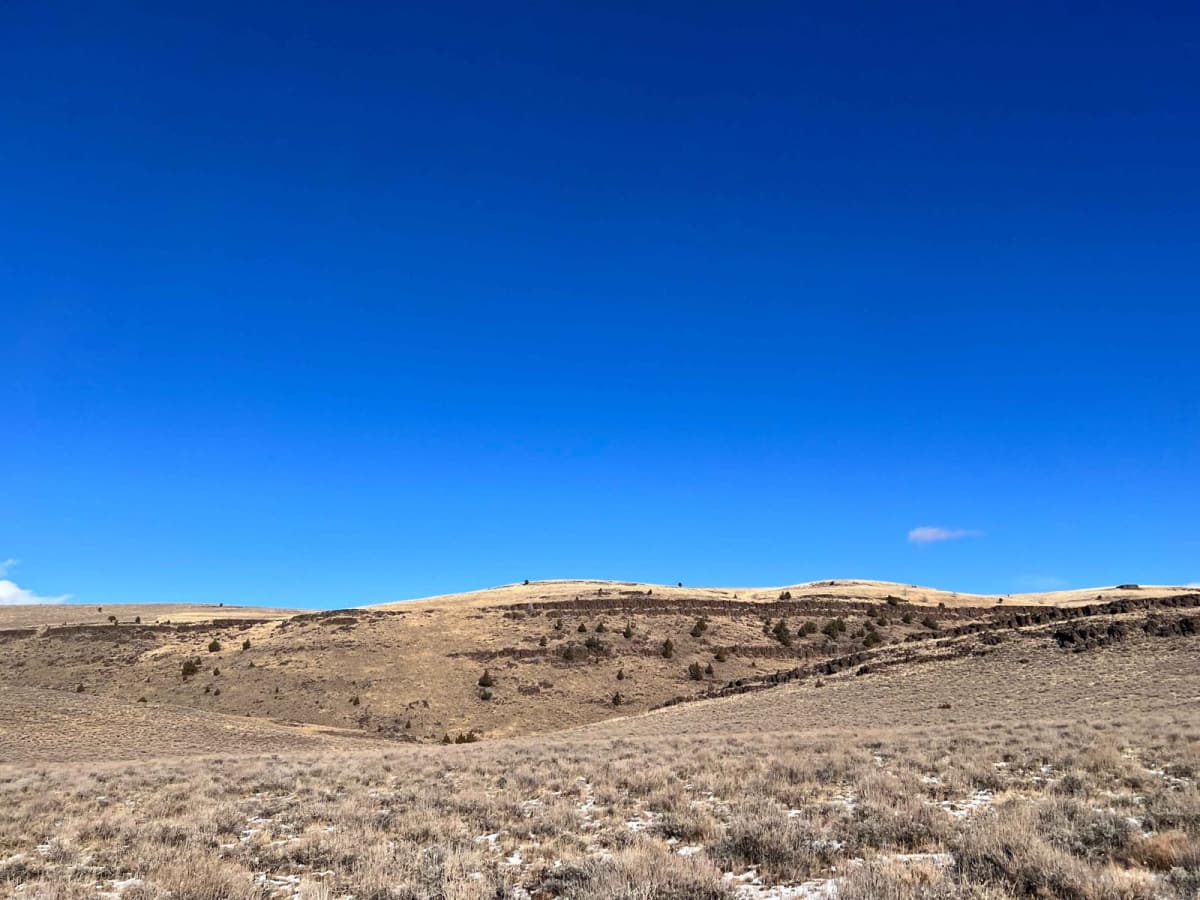 Wild Horse Tank Road photo 3