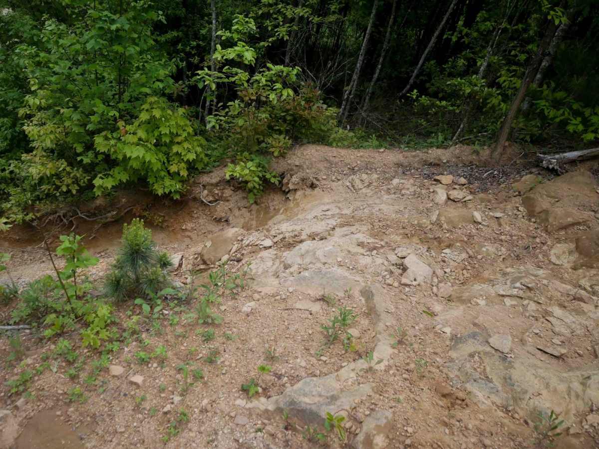 MV69 photo 3