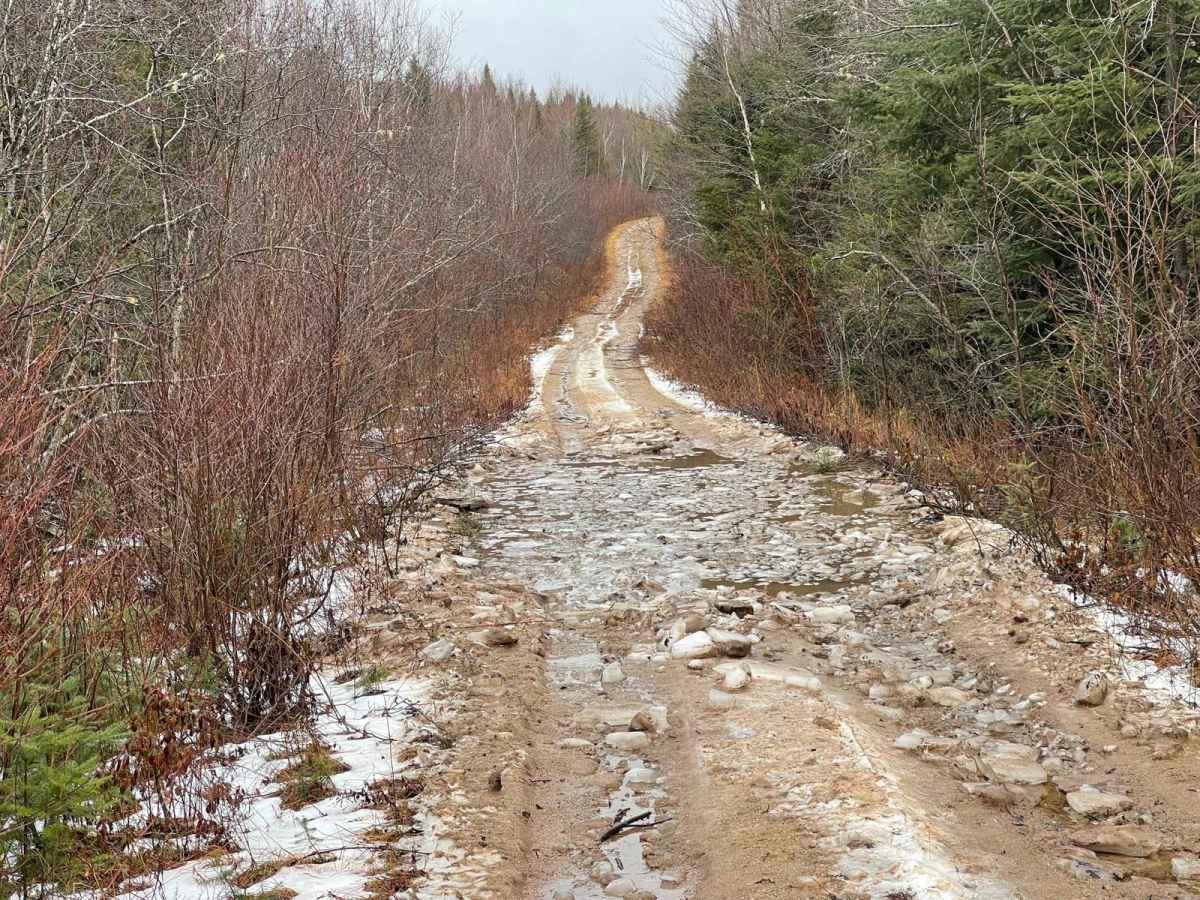 Two Mile Lake Road photo 3