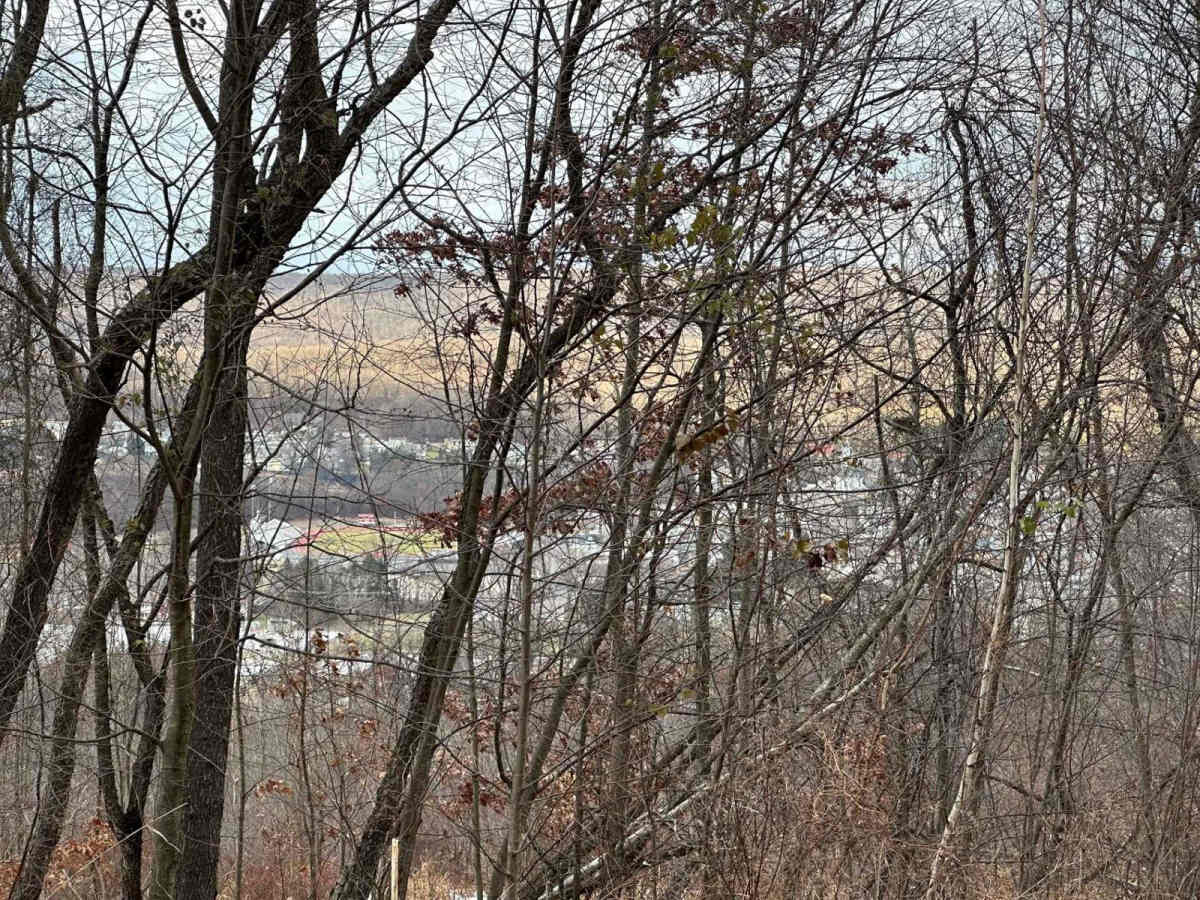 Ashland 88 photo 3