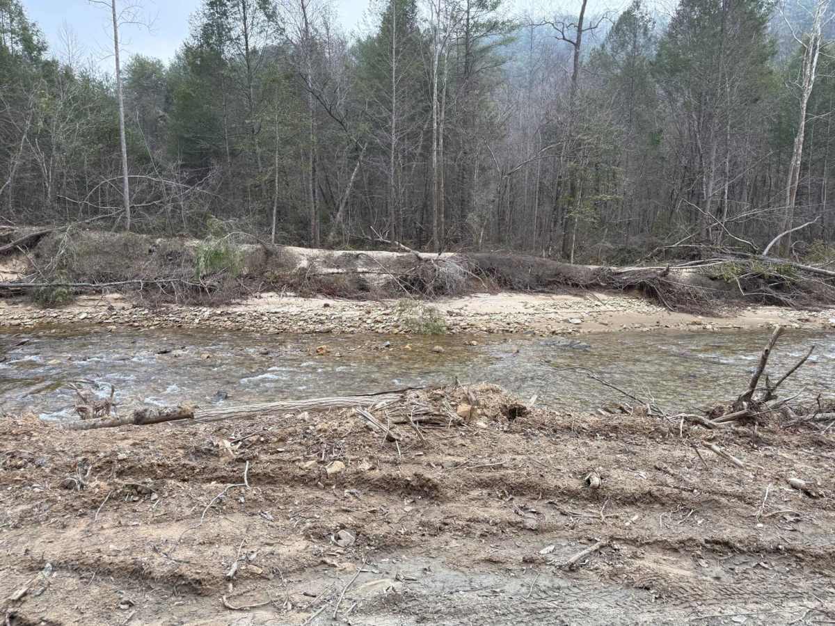 Brown Mountain Beech Road photo 6
