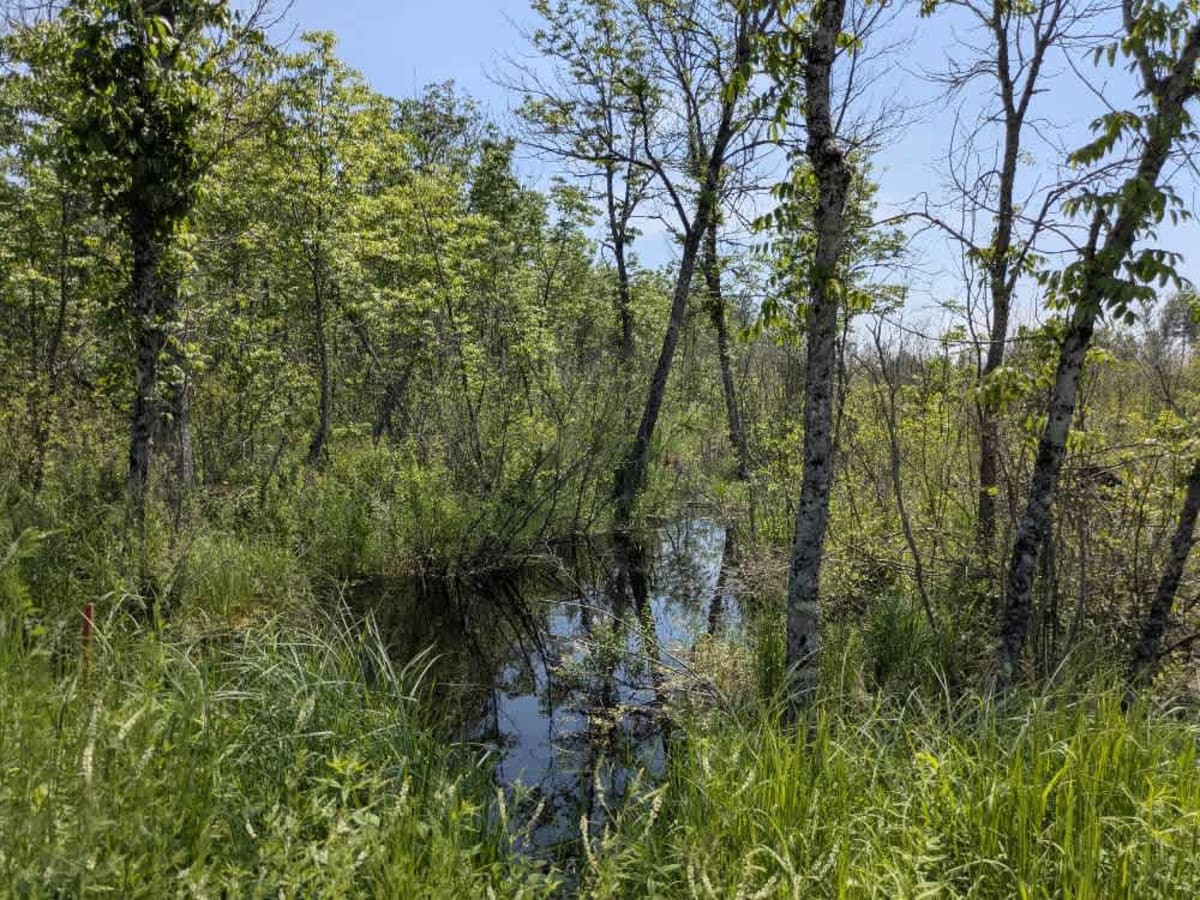 South Long Lake Road photo 4