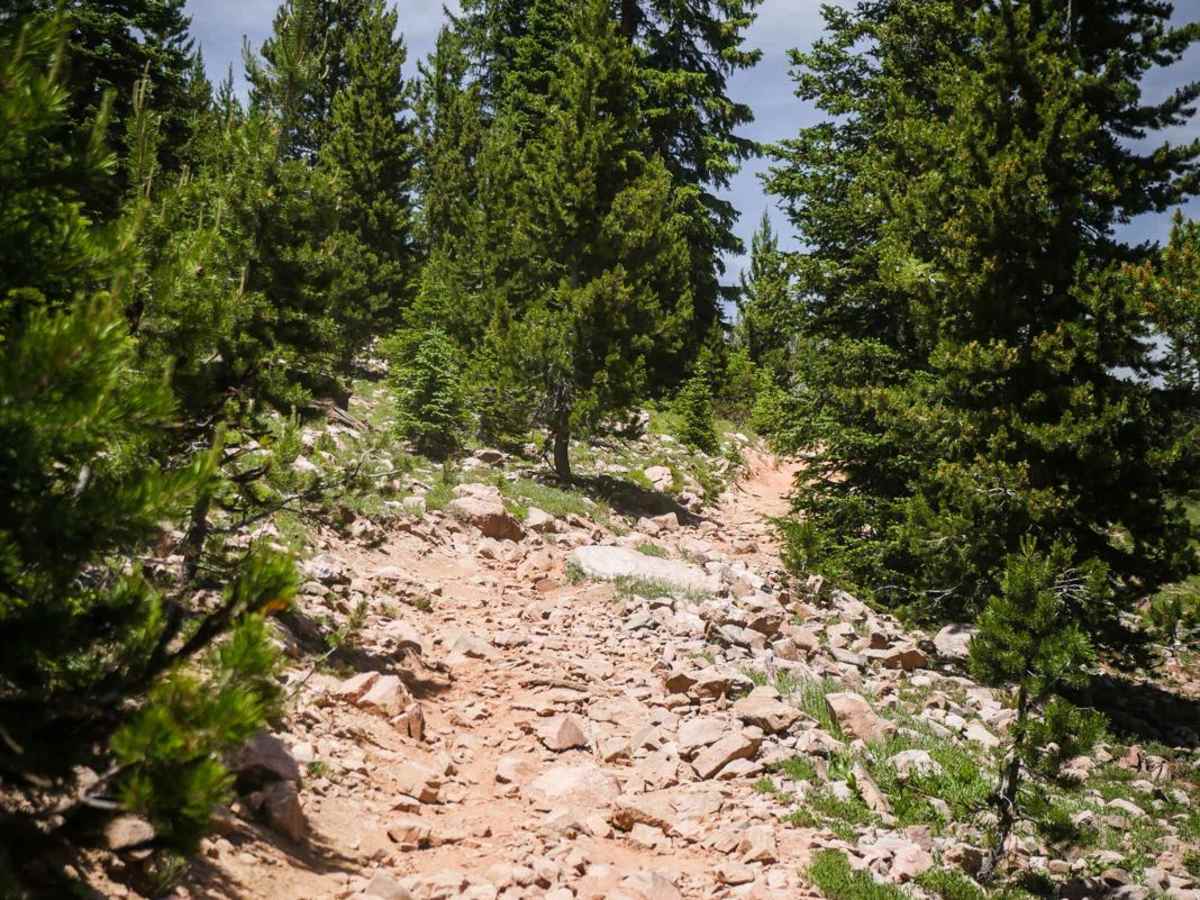 Wyoming ATV Trail photo 4