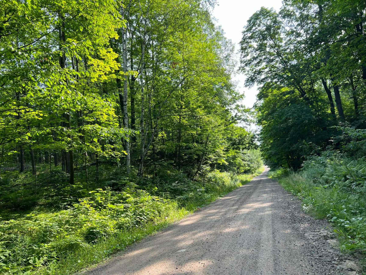 Borske Road - FS 2366 photo 3