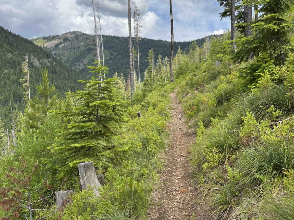 Little North Fork trail photo