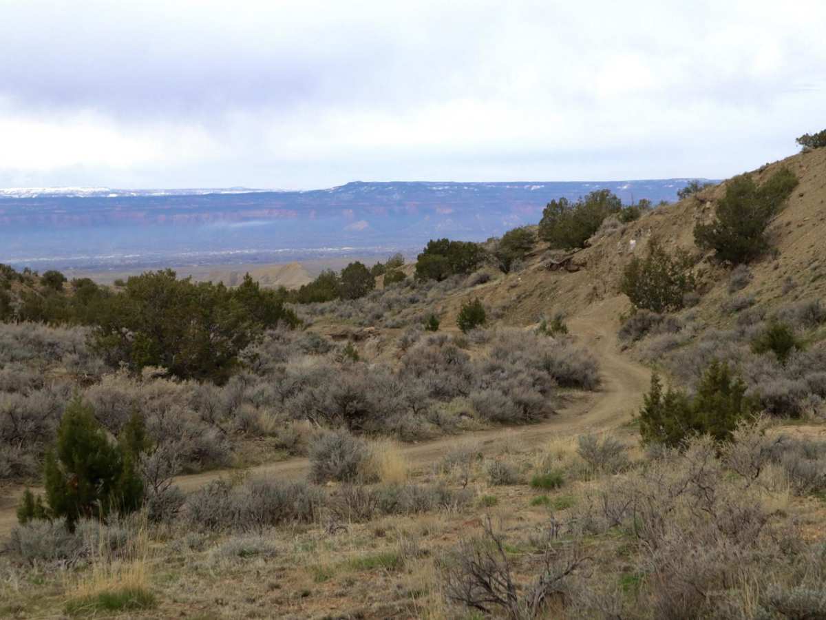 Mesa County Road 25 photo 3