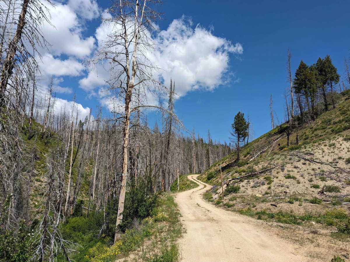 Gold Fork Loop 393 (China Fork West Fork) photo 5