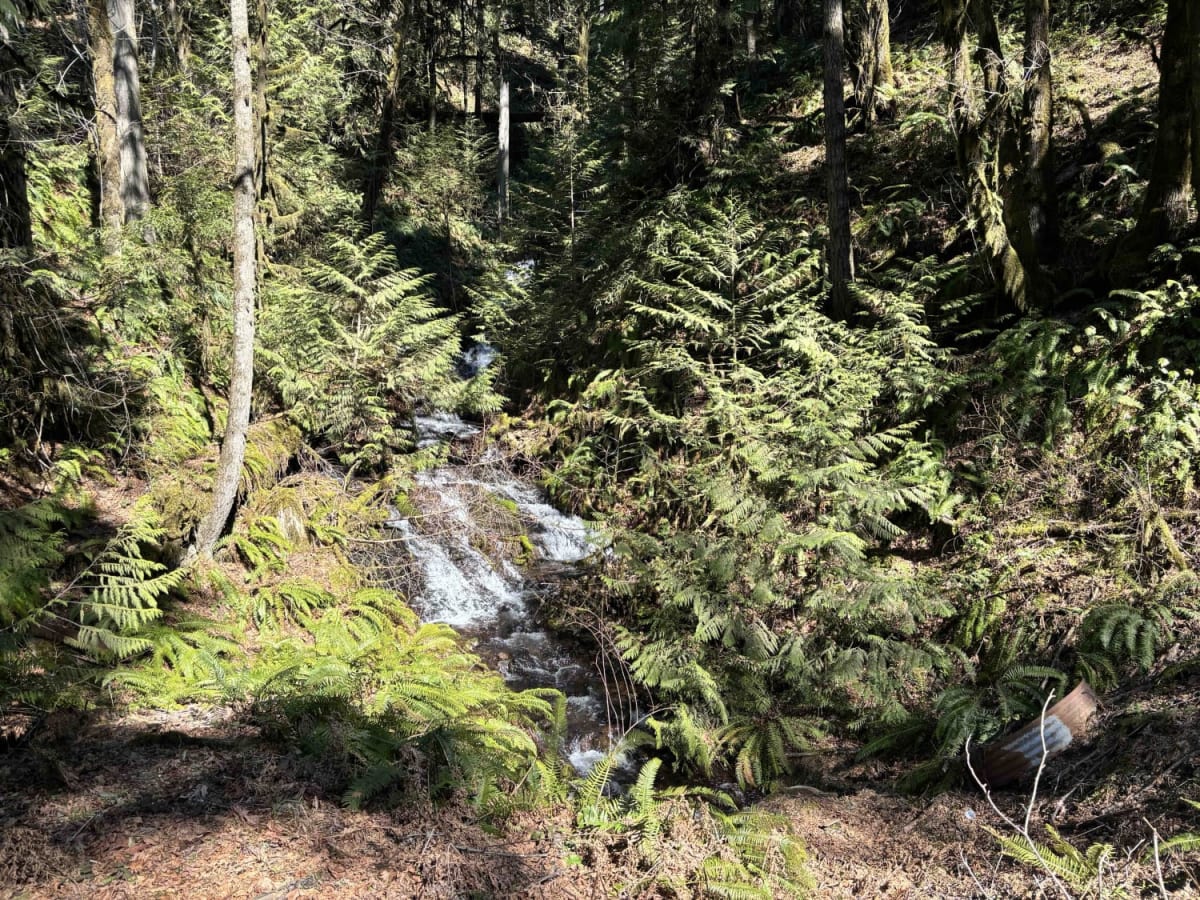 Yamhill Reservoir to Barney Reservoir photo 3