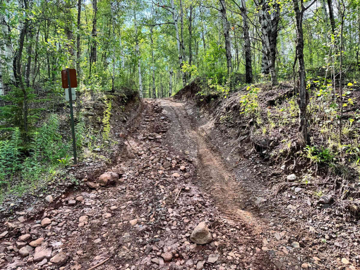 Average Bear trail photo