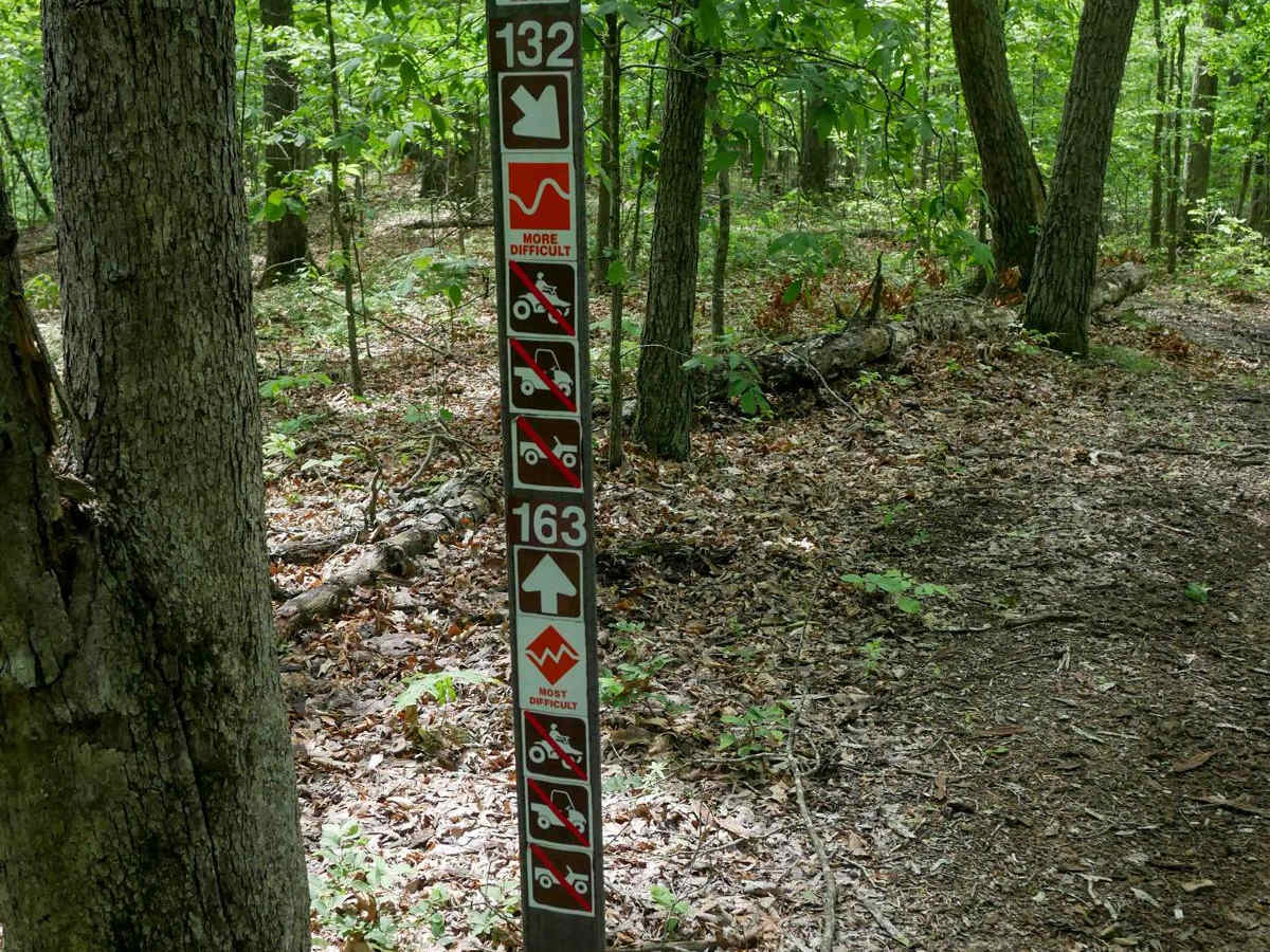 IB 132 photo 6