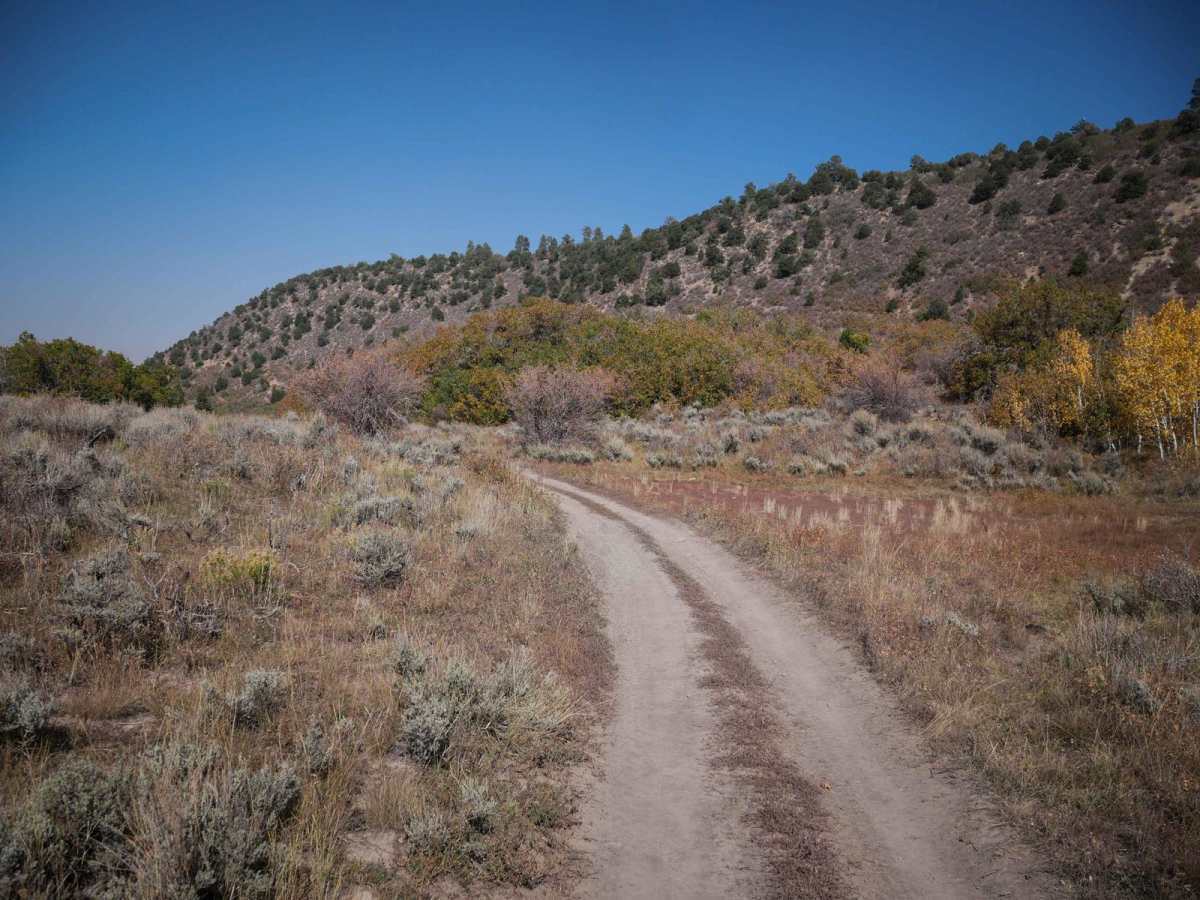 Spring Creek ATV Trail (East) photo 5