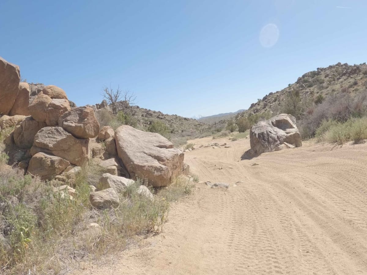 BLM C1418 photo 6