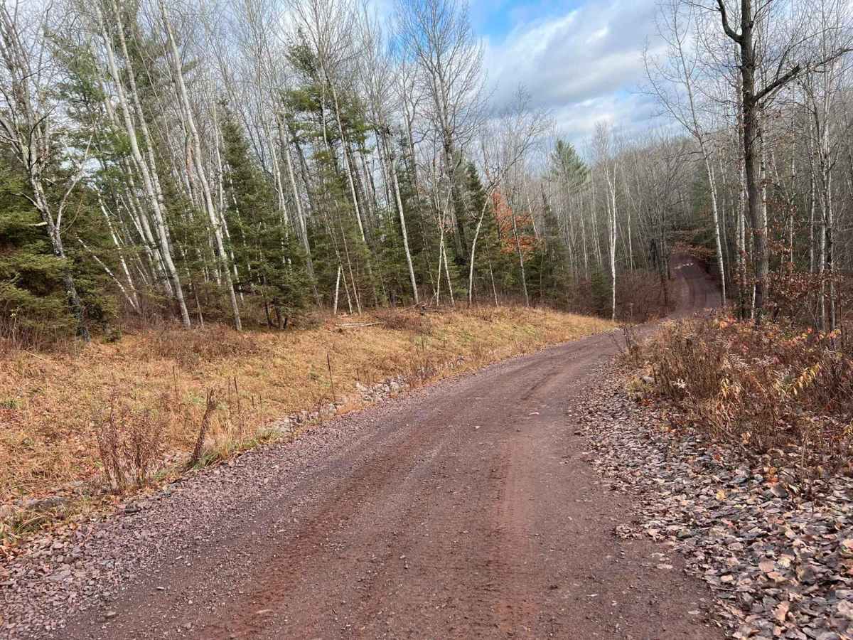 Florence County F16/6 Barrens Natural Area Trail photo 4