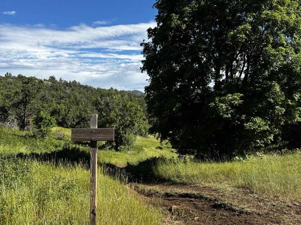 Upper Packard Canyon Trail trail photo