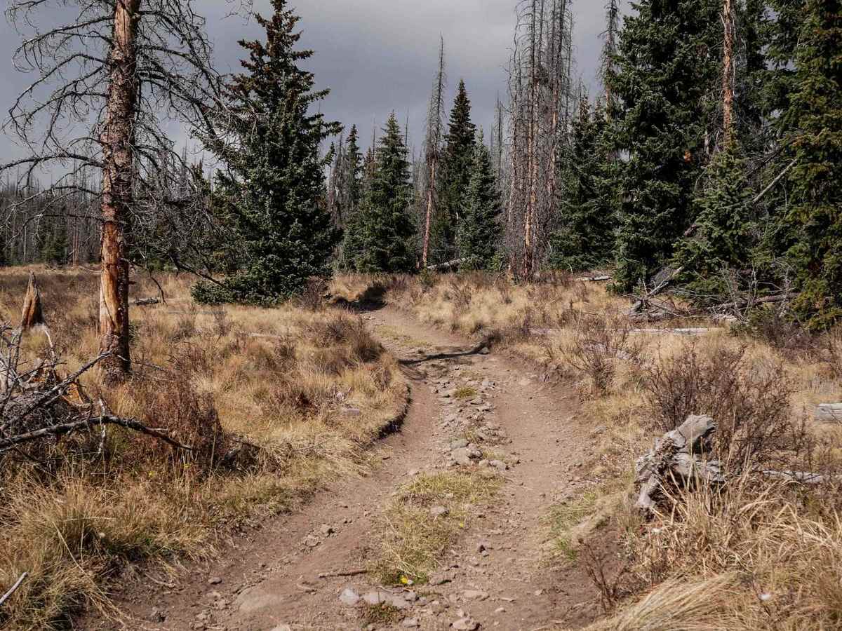 West Alder ATV 798  photo 5