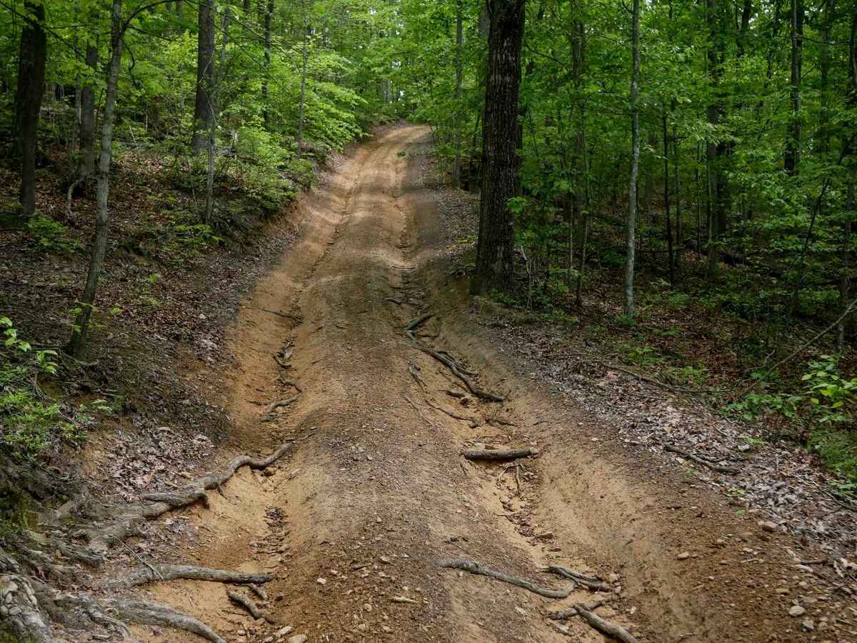 IB 52 trail photo