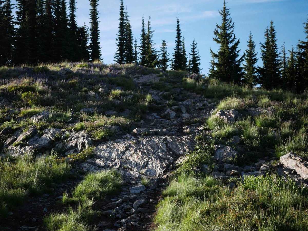 St Joe Divide NRT ATV (Slate Creek to Dam Creek) photo 2