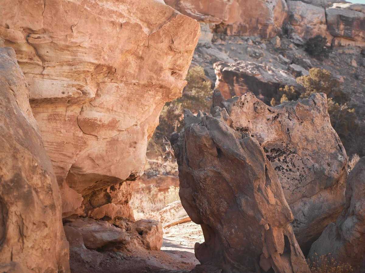 Salt Wash Single Track trail photo