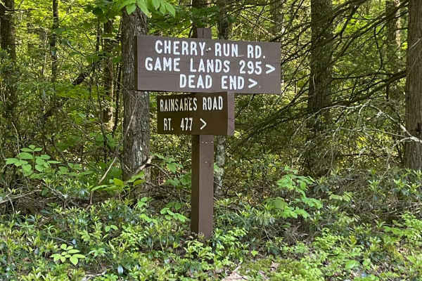 Cherry Run Road