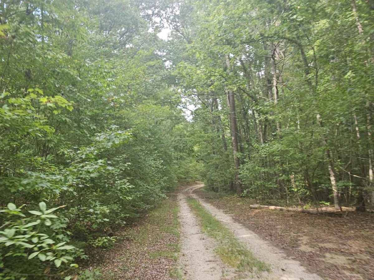Bernett Road - FS 668/668A photo 5
