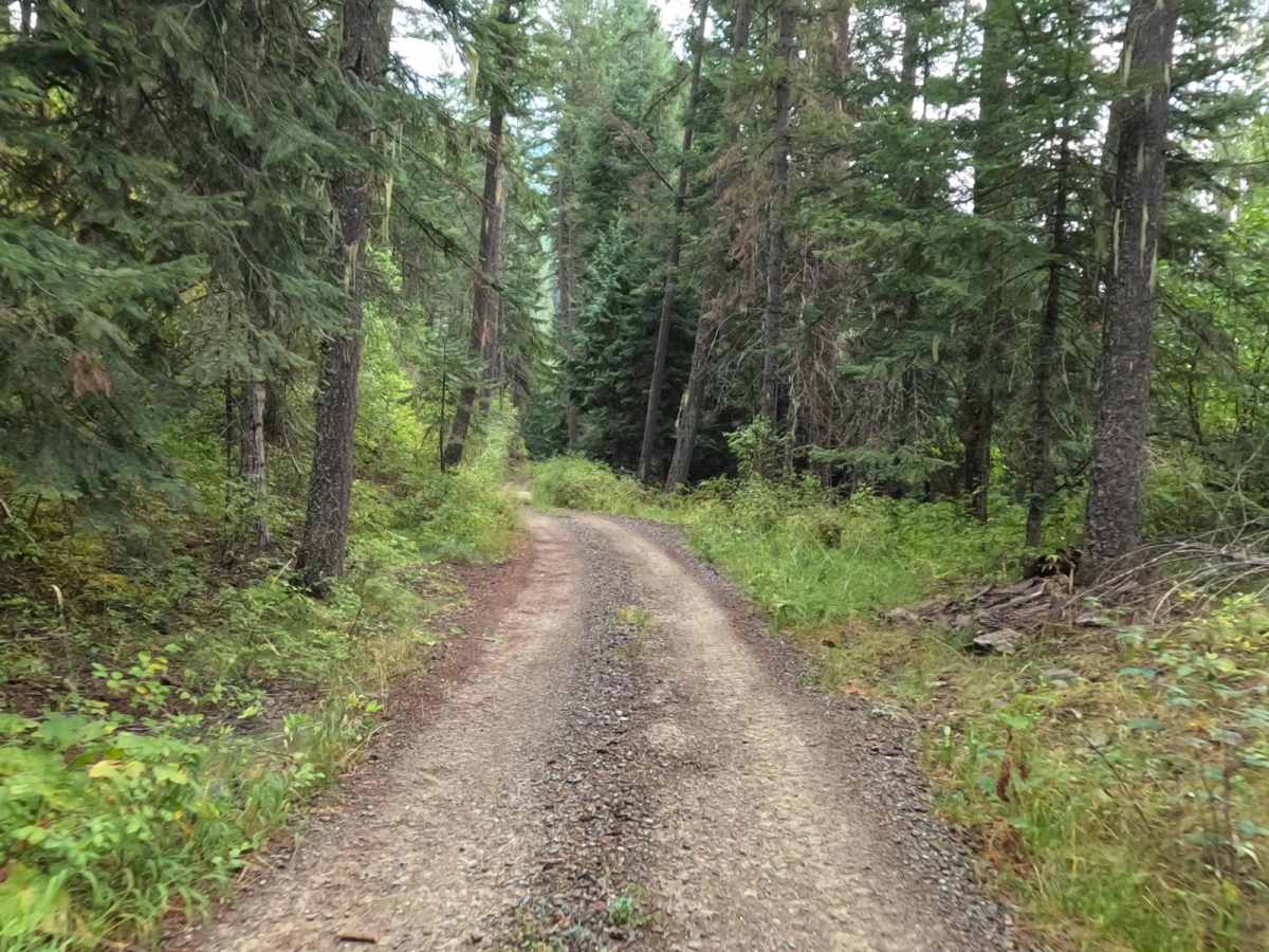 Little Joe Road photo 4