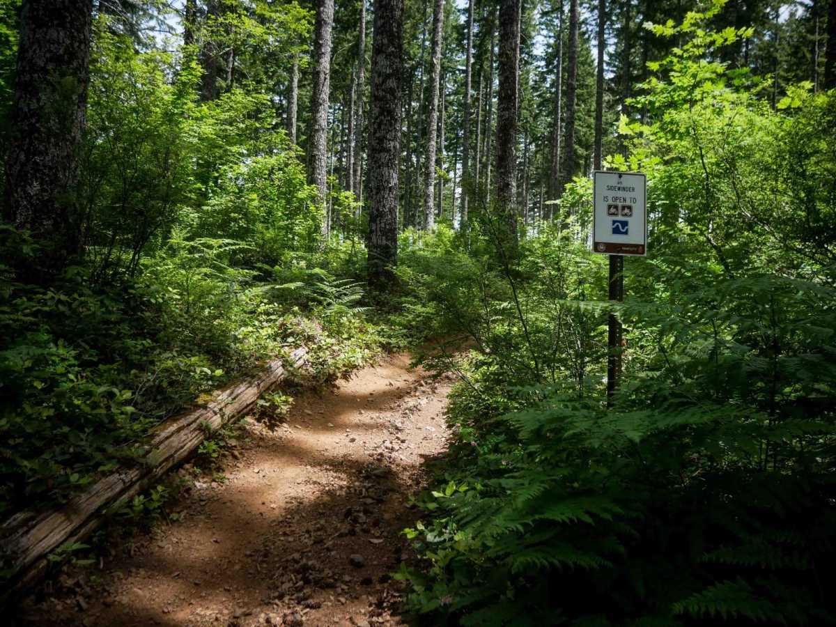 #9 Connector trail photo