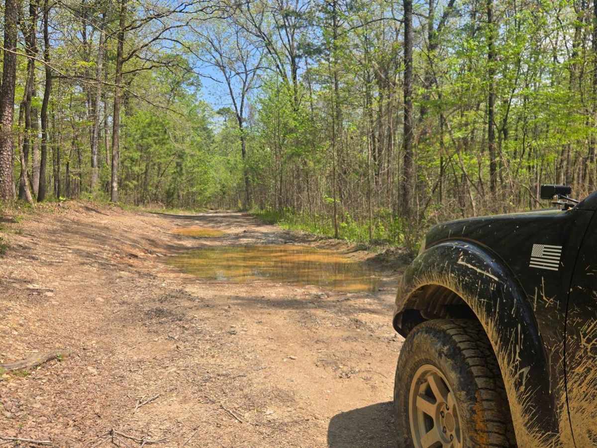 Bee Creek Trail photo 5