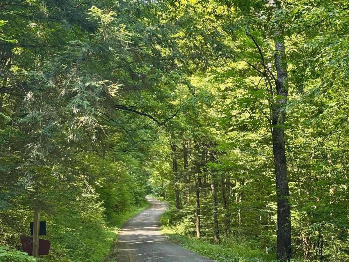Rock Run Road photo 4