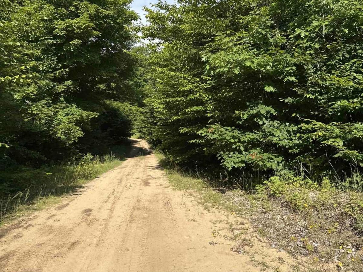 County Road 371 photo 5