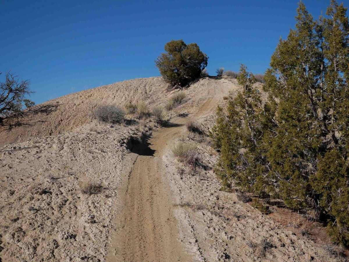 Mini Ridge Singletrack photo 2
