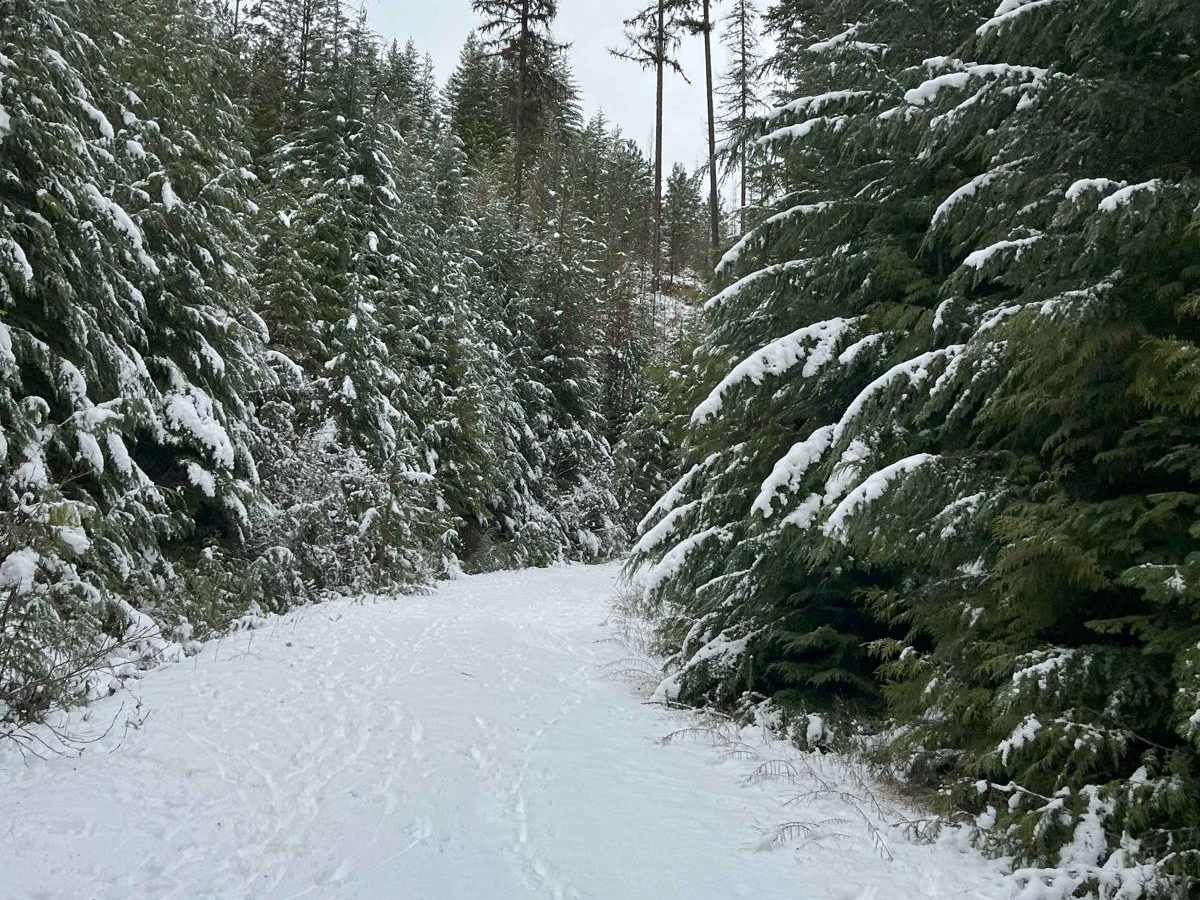 Trail 4712 photo 4