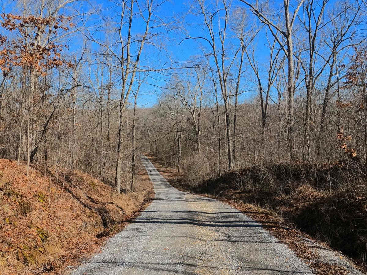 Roger's Road - FS 113 photo 3