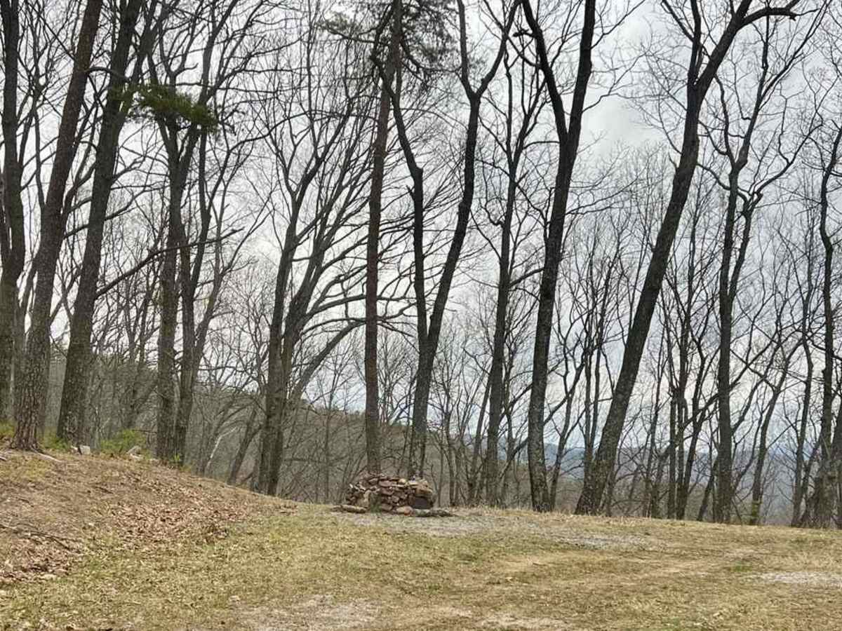 Gauley Ridge Forest Road photo 4