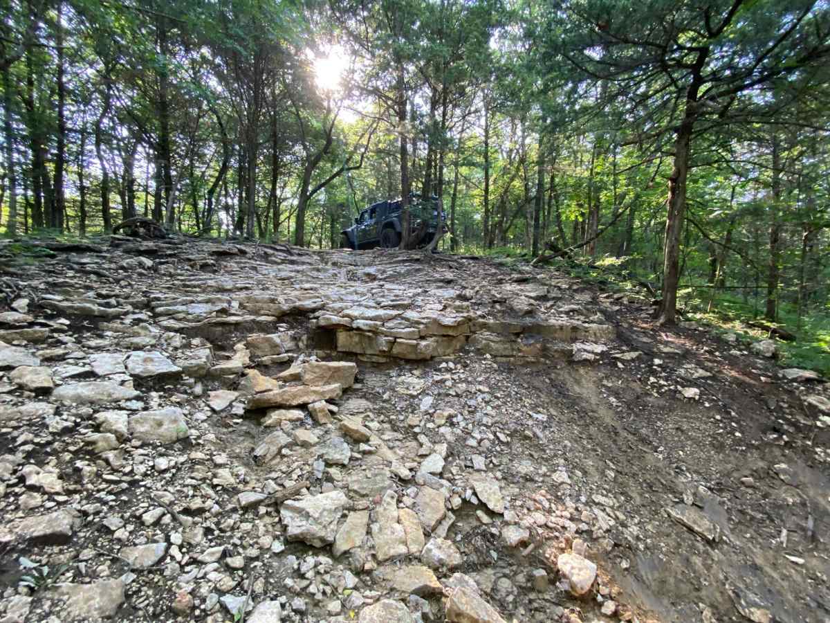 Muskrat Hill photo 4