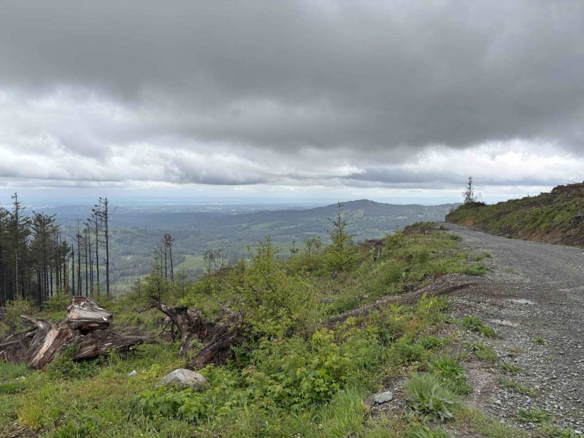 Jones Creek ORV trail photo