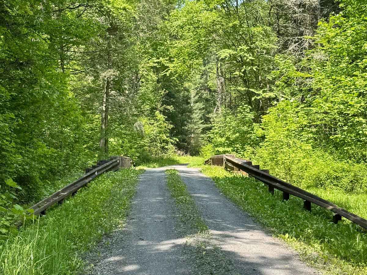 Hyner Run Road photo 6
