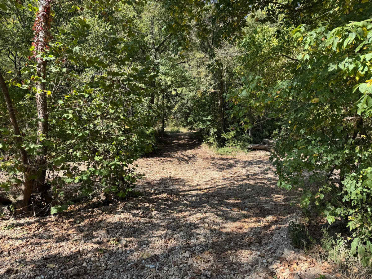 Green 13 trail photo