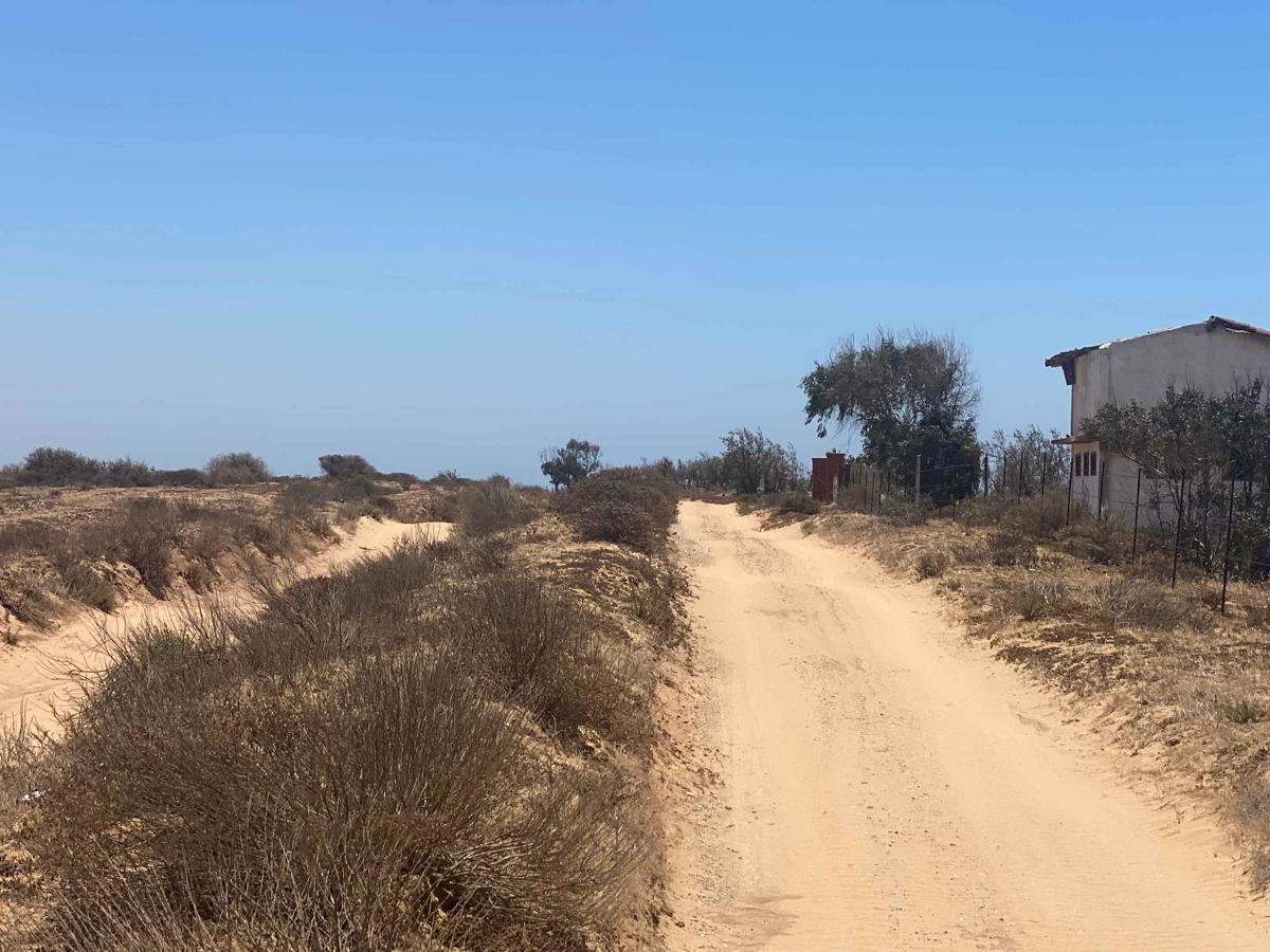 Bahia San Quintin photo 4