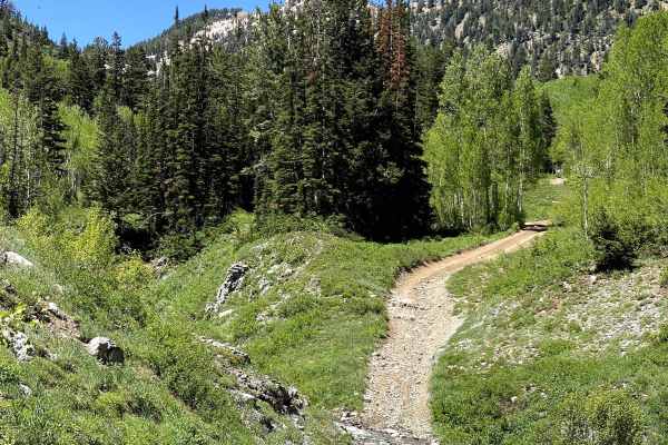 Alta Dry Fork (FR 70198)