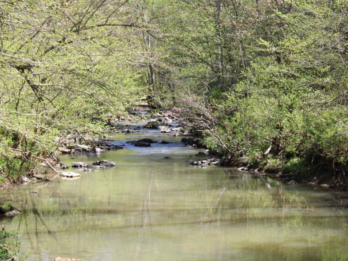 Spectacular View In Howard County WMA photo 2